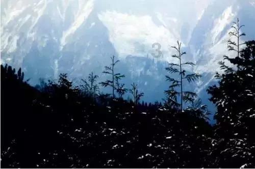 时政 | 市十八届人大二次会议议程
